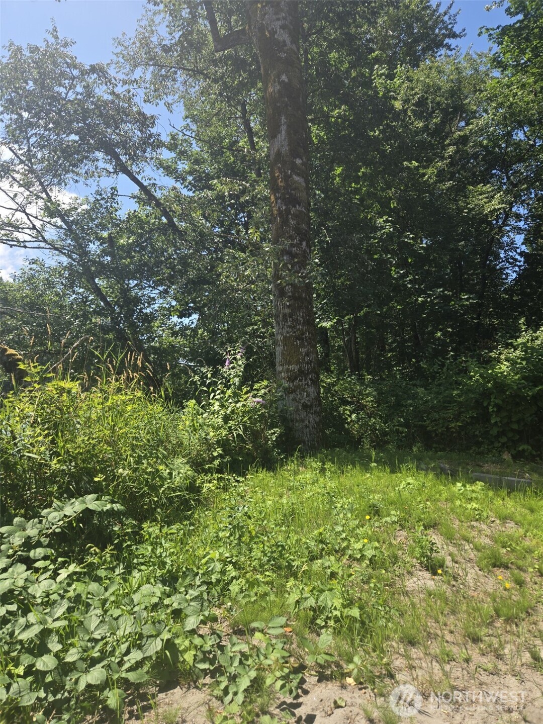 35274 Shangri-la Drive , Sedro Woolley, WA 98284