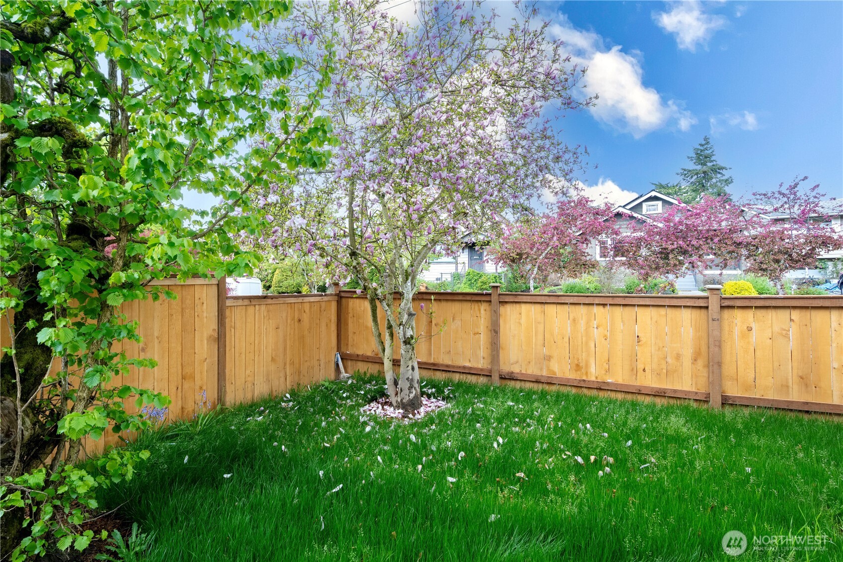 3212 35th Avenue S, Seattle, WA 98144