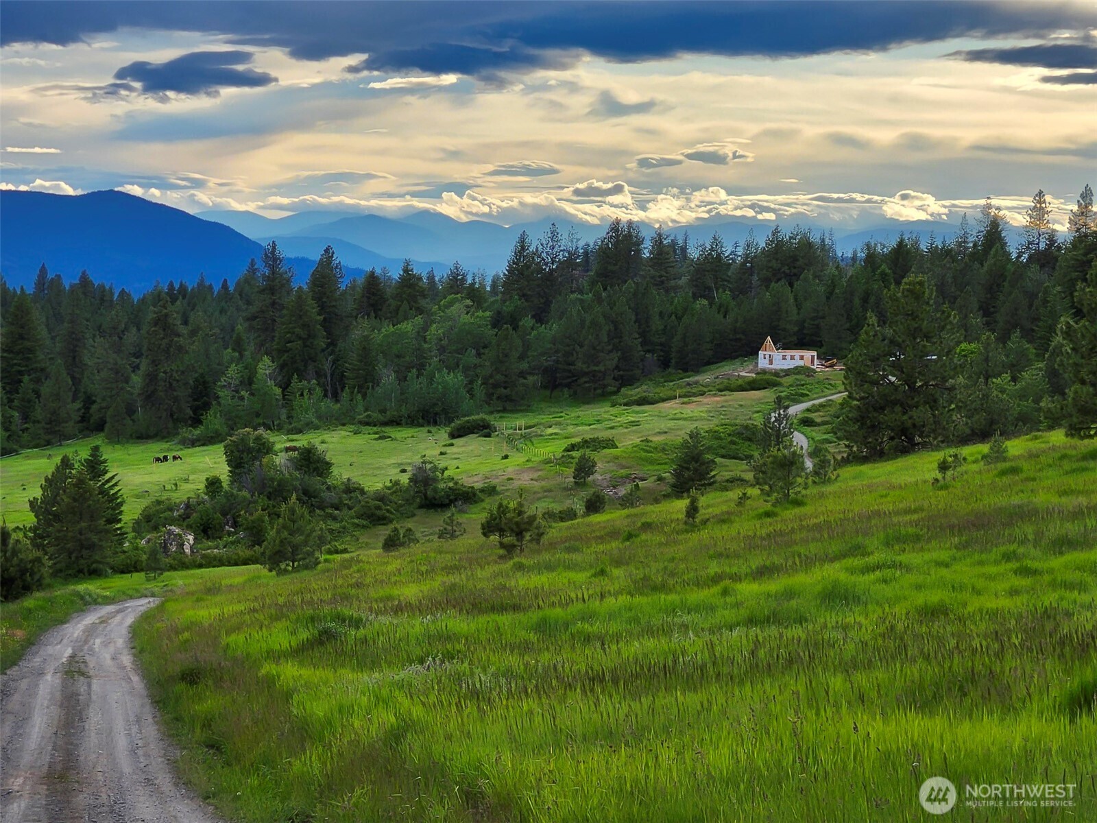 817 Dominion Springs Way , Colville, WA 99114