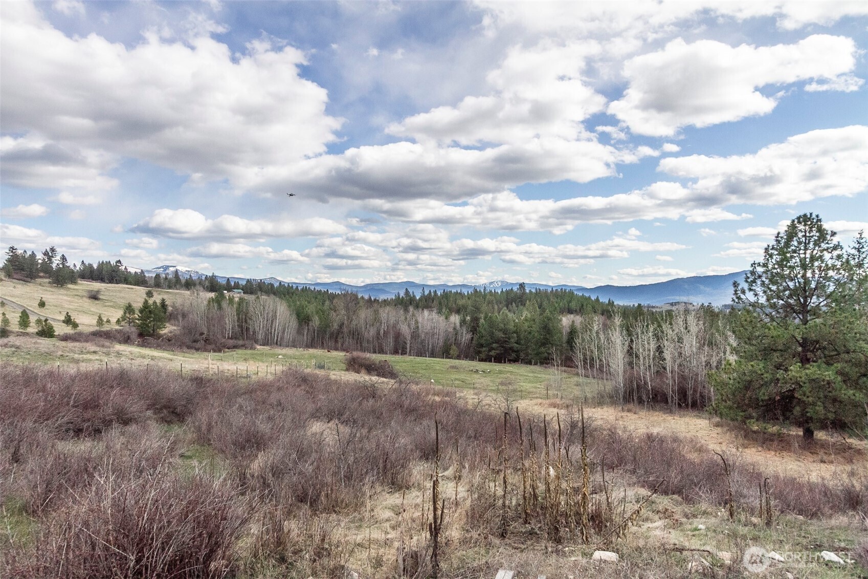 817 Dominion Springs Way , Colville, WA 99114