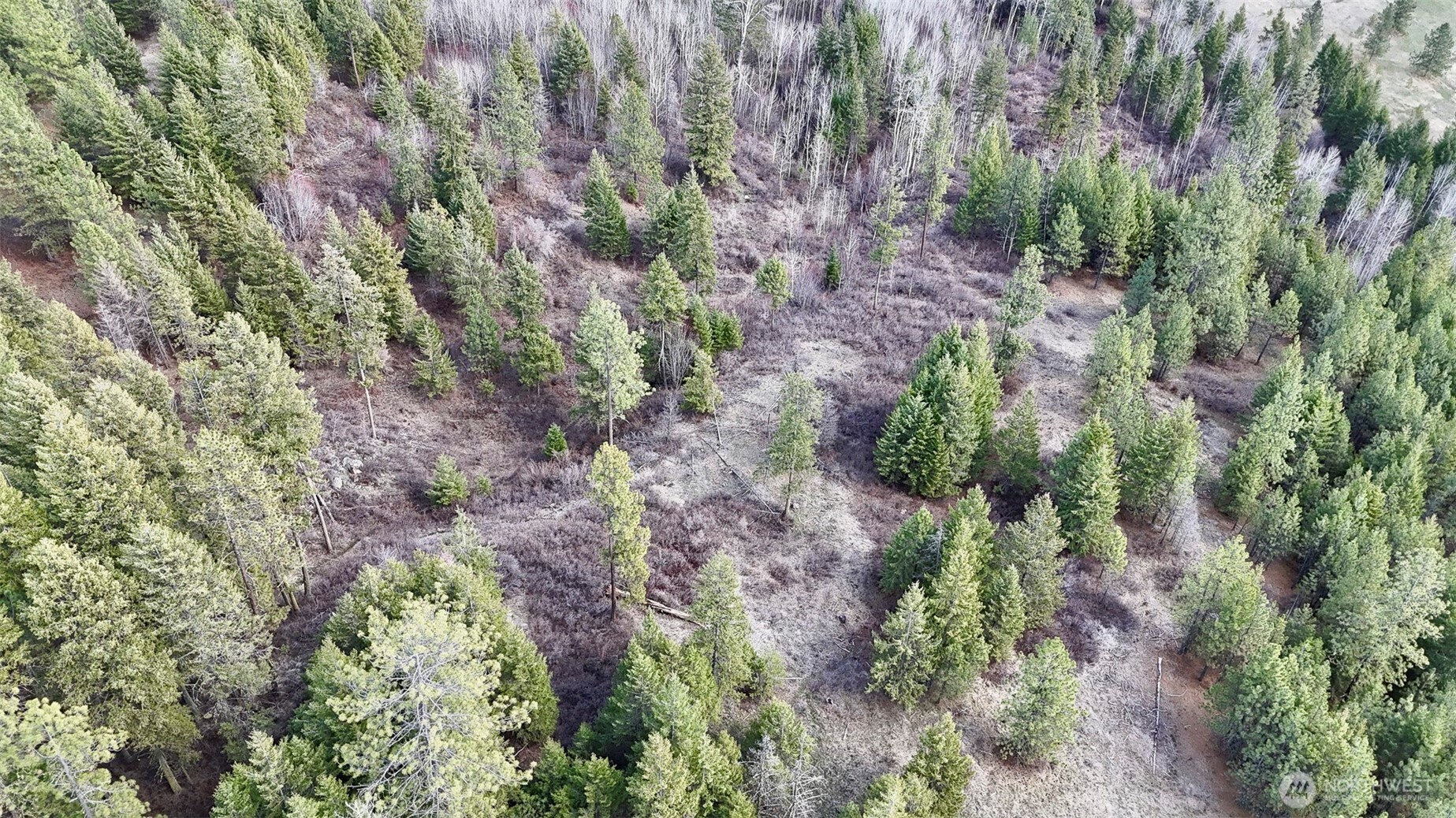 817 Dominion Springs Way , Colville, WA 99114