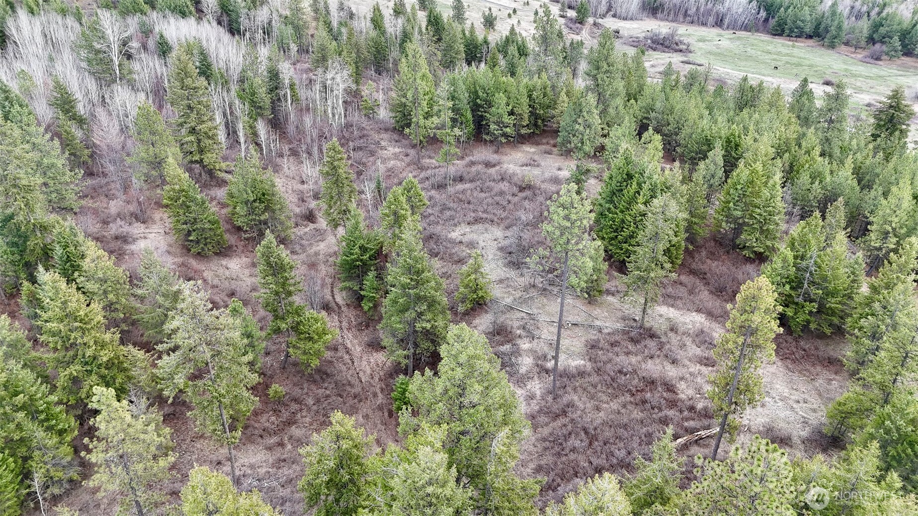 817 Dominion Springs Way , Colville, WA 99114
