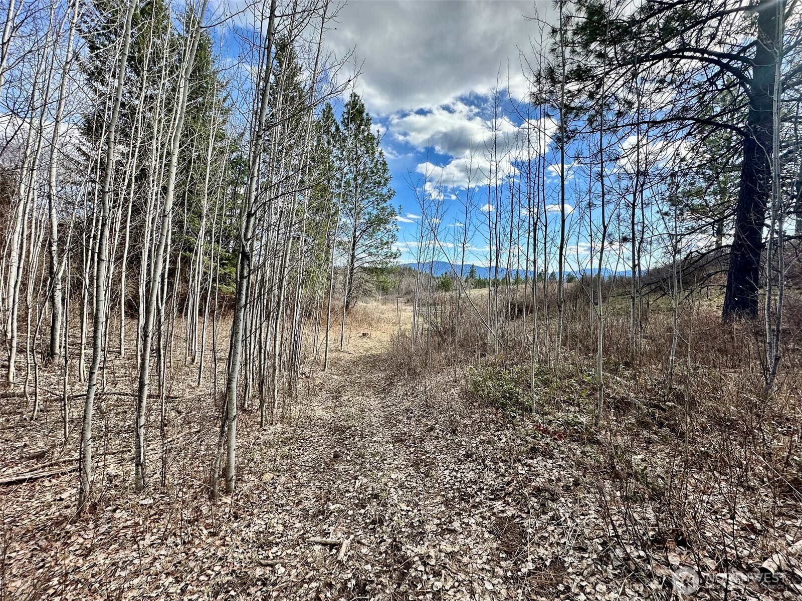 817 Dominion Springs Way , Colville, WA 99114