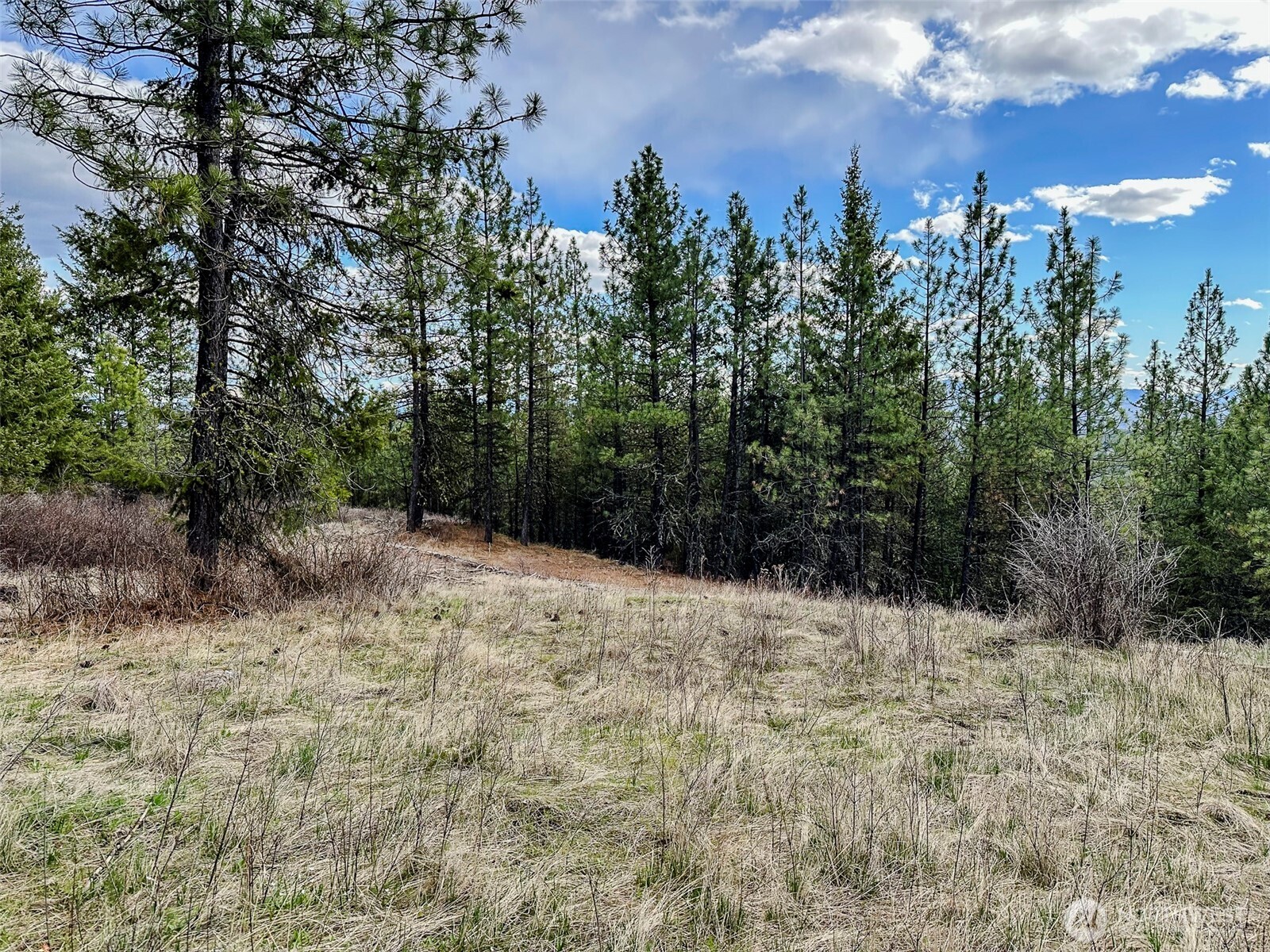 817 Dominion Springs Way , Colville, WA 99114