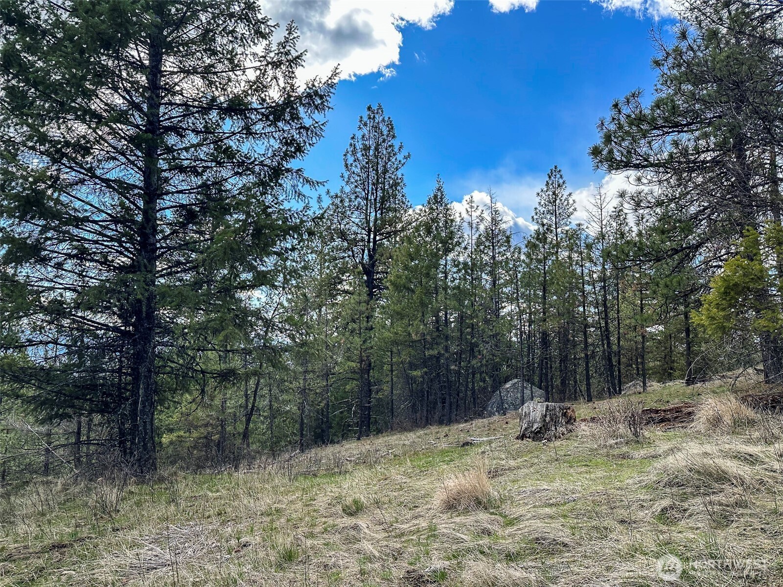 817 Dominion Springs Way , Colville, WA 99114
