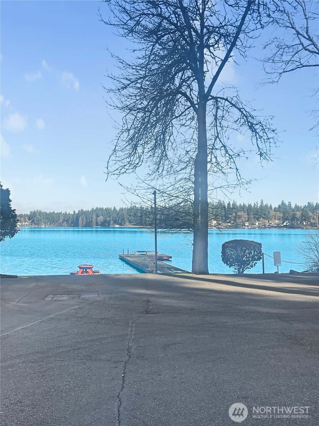 17303 Spanaway Loop S #49, Spanaway, WA 98387