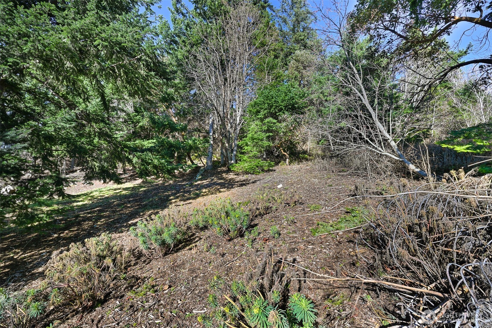 405 Arbutus Place , Bellingham, WA 98225