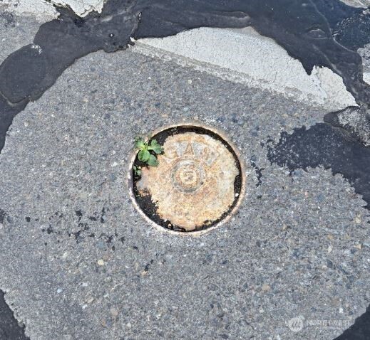 2306 W Valley Highway E, Edgewood, WA 98372