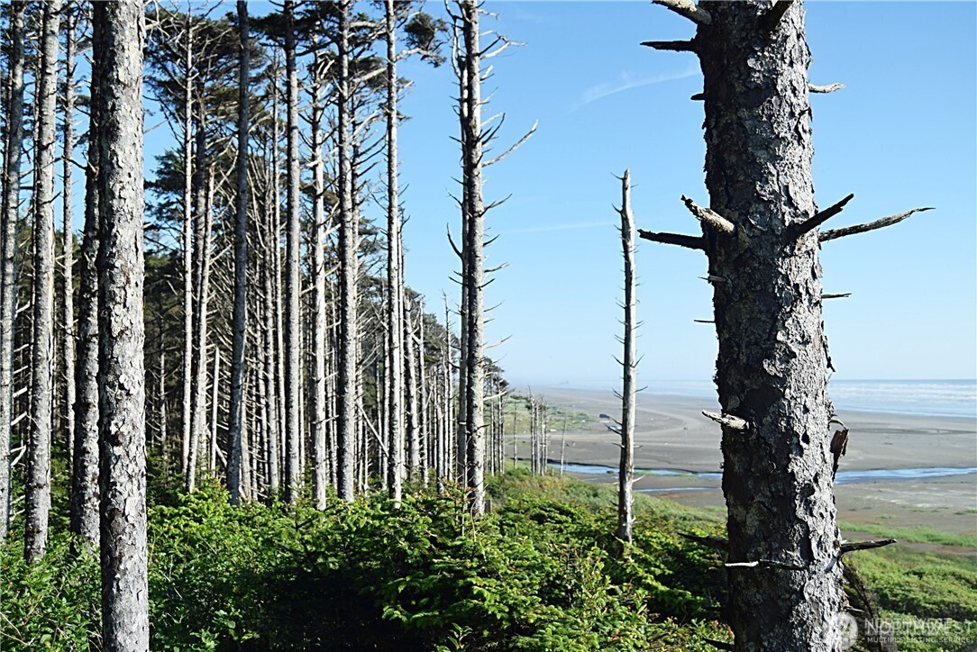 5 & 6 Roosevelt Beach Lots , Pacific Beach, WA 98571