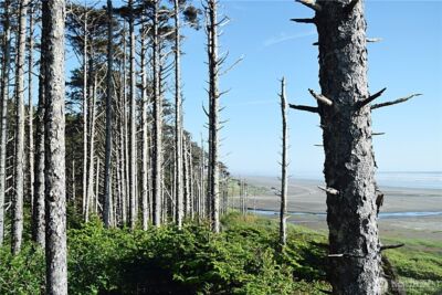 5 & 6 Roosevelt Beach Lots , Pacific Beach, WA 98571
