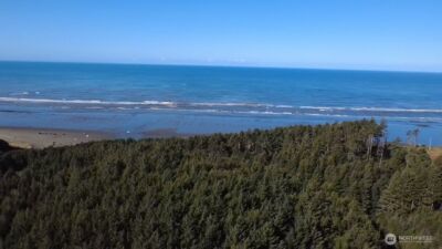 5 & 6 Roosevelt Beach Lots , Pacific Beach, WA 98571 - Photo 3