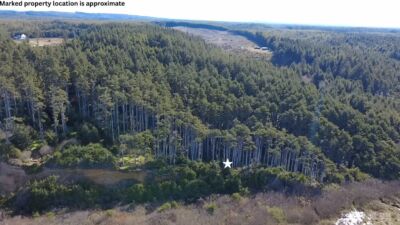 5 & 6 Roosevelt Beach Lots , Pacific Beach, WA 98571 - Photo 5