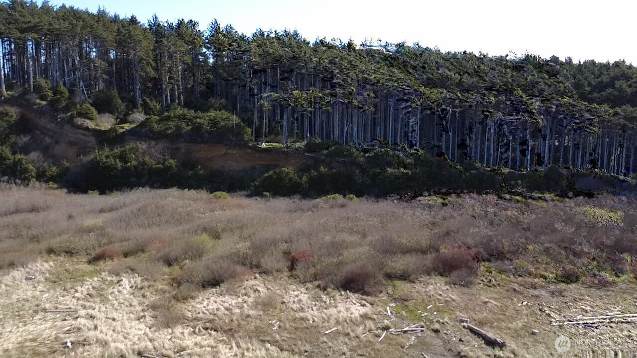 5 & 6 Roosevelt Beach Lots , Pacific Beach, WA 98571