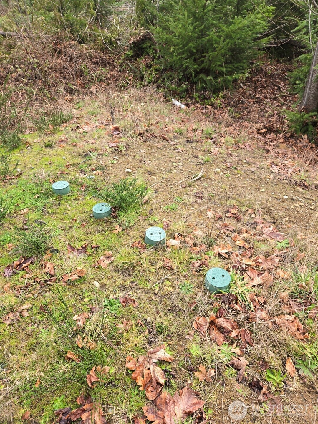 1801 E Crestview Drive , Shelton, WA 98584