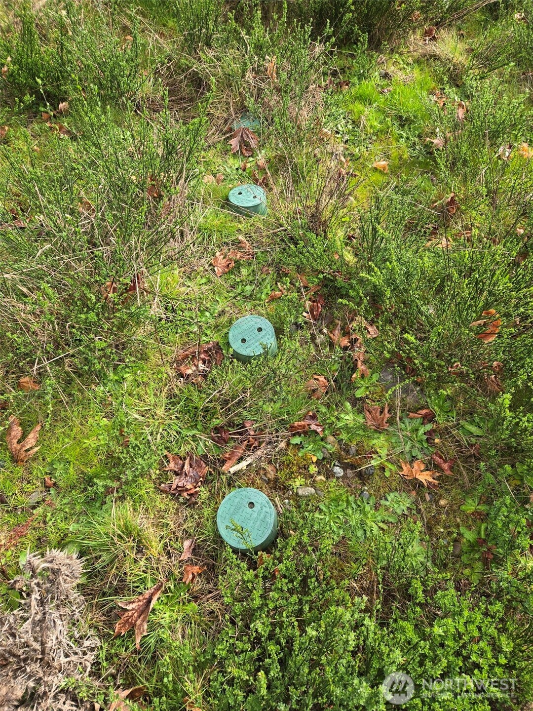 1801 E Crestview Drive , Shelton, WA 98584