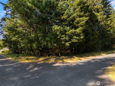 10519 Suncrest Drive , Anderson Island, WA 98303 - Photo 3