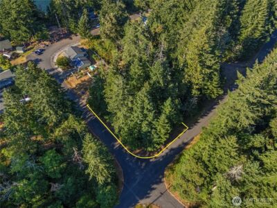 10519 Suncrest Drive , Anderson Island, WA 98303 - Photo 5