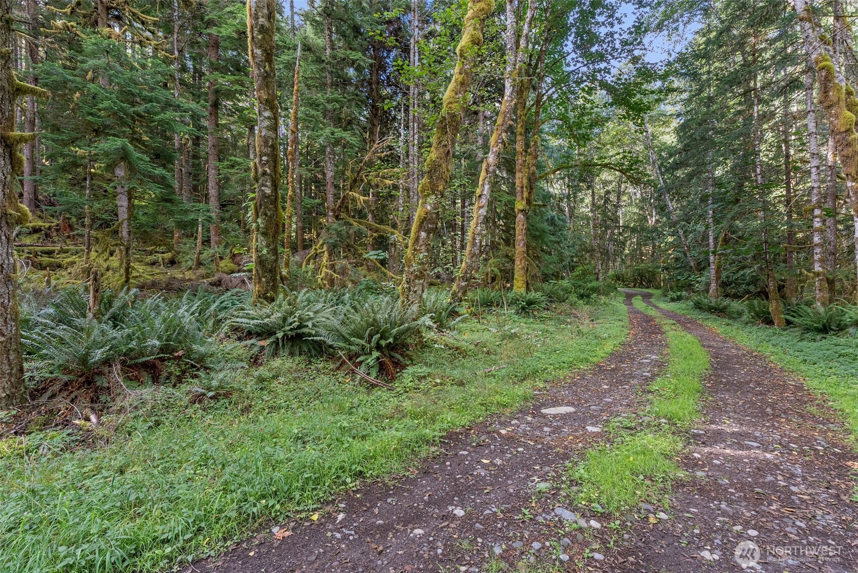 1 Skate Creek Road N, Morton, WA 98356