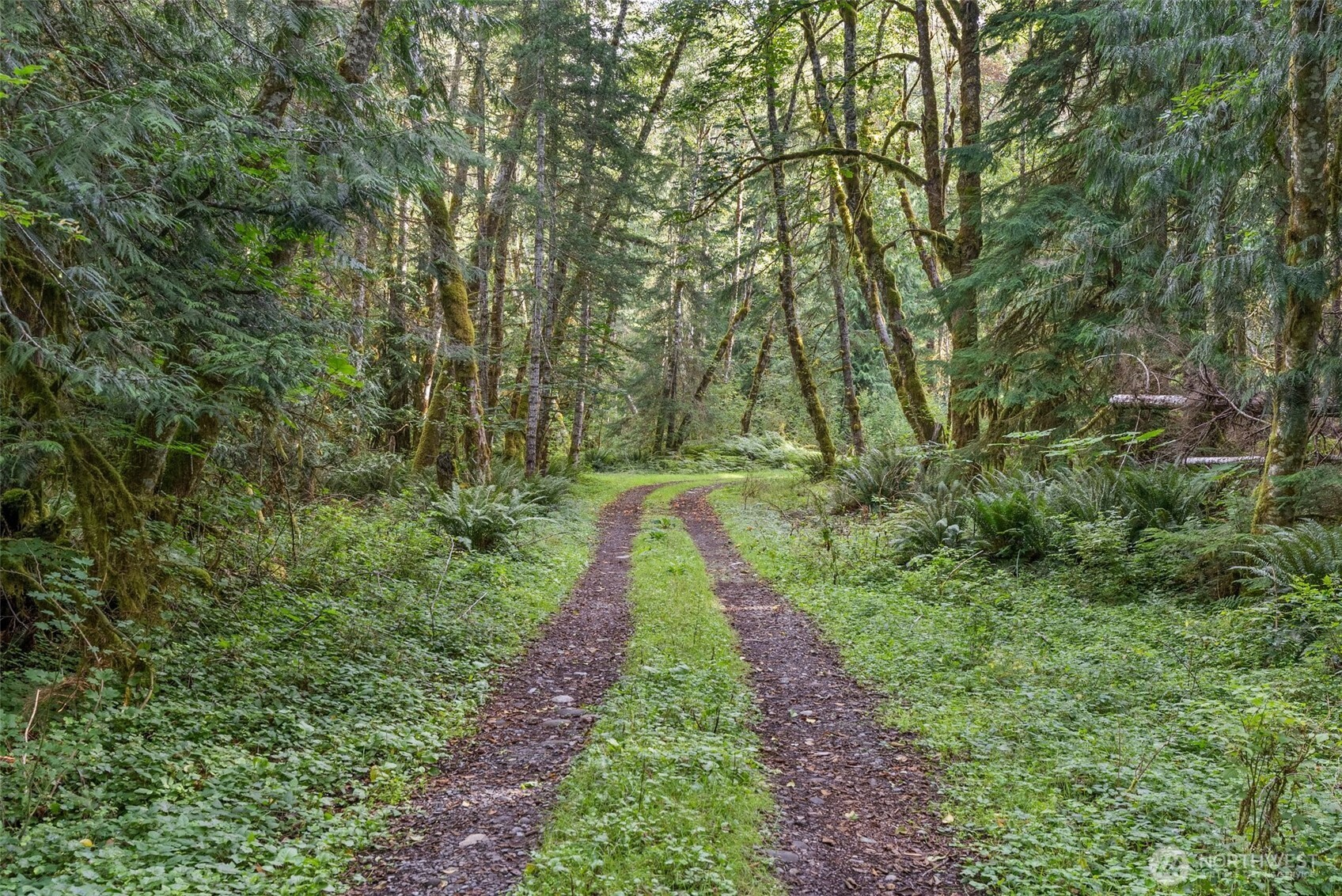 1 Skate Creek Road N, Morton, WA 98356