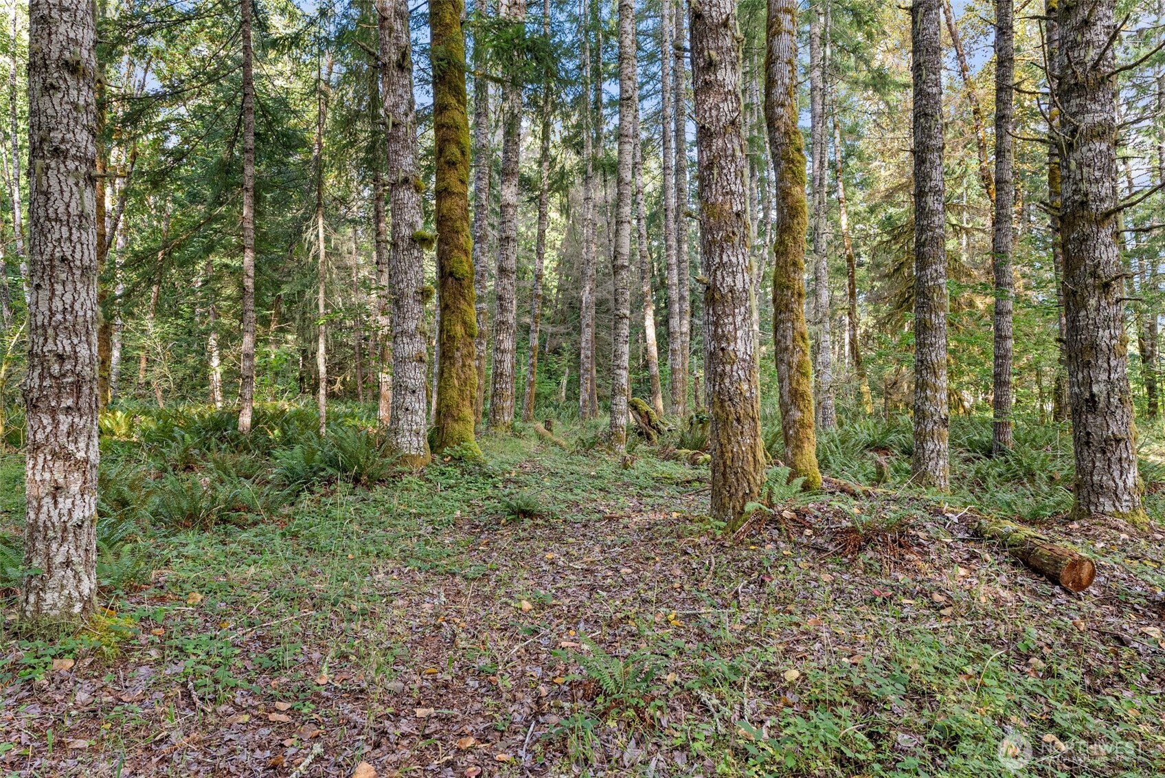 1 Skate Creek Road N, Morton, WA 98356