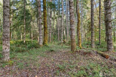 1 Skate Creek Road N, Morton, WA 98356 - Photo 25