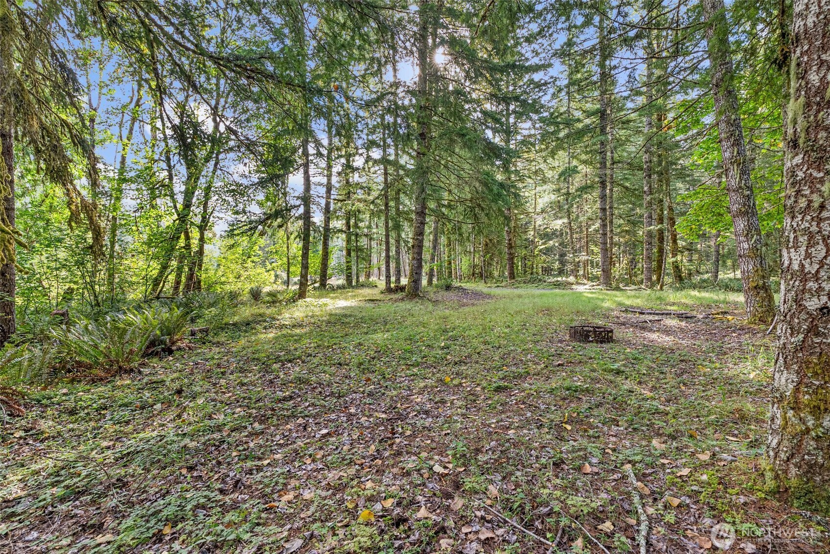 1 Skate Creek Road N, Morton, WA 98356