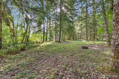 1 Skate Creek Road N, Morton, WA 98356 - Photo 27