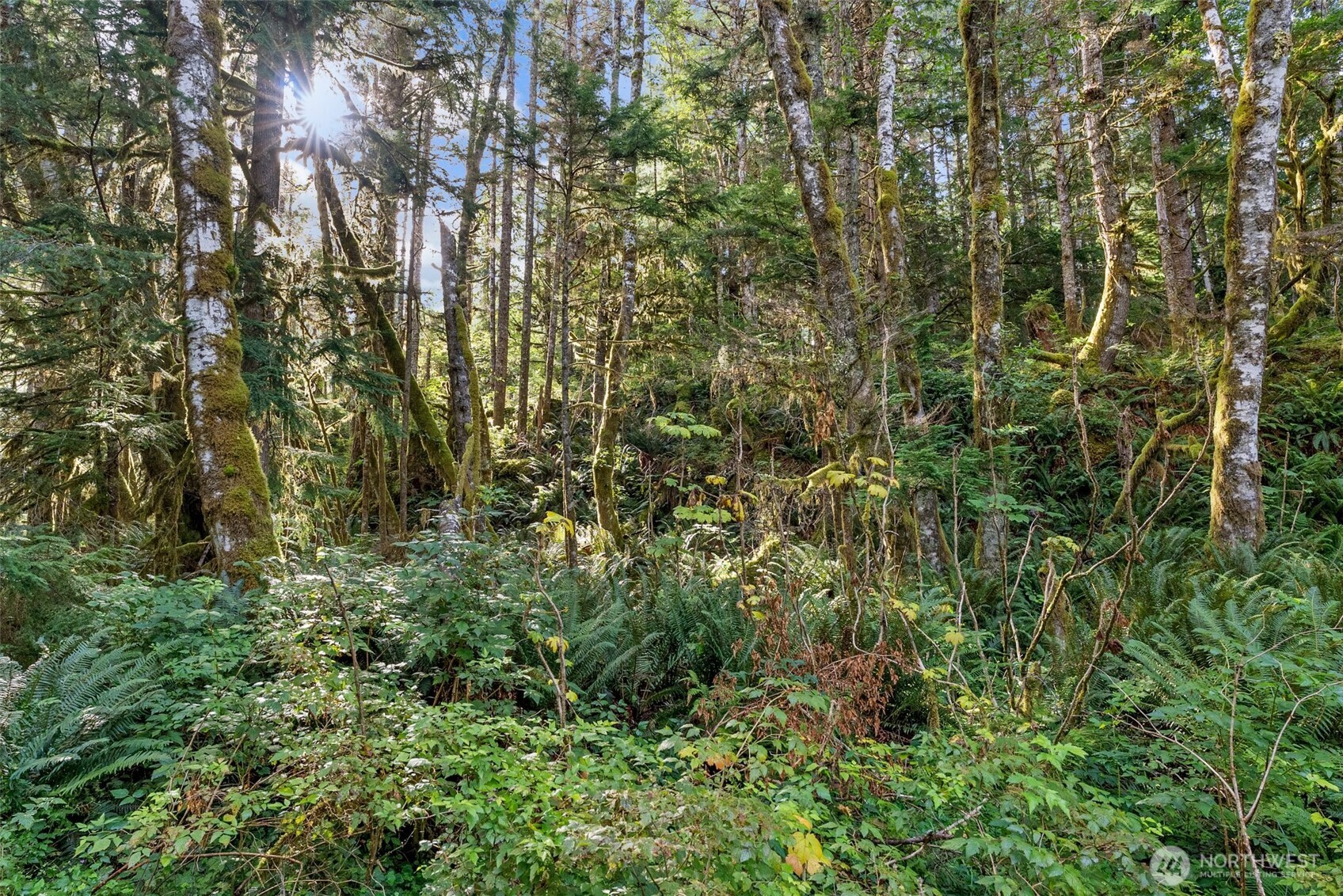 1 Skate Creek Road N, Morton, WA 98356