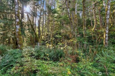 1 Skate Creek Road N, Morton, WA 98356 - Photo 28