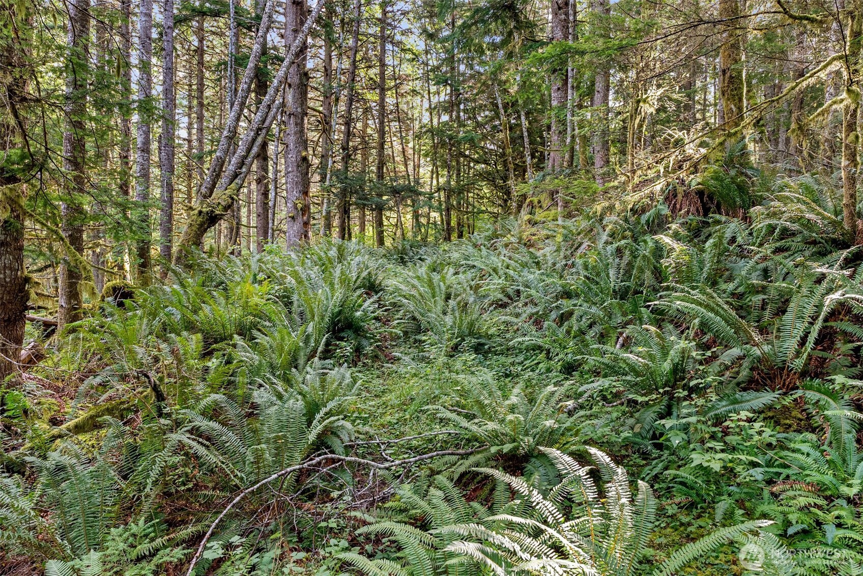 1 Skate Creek Road N, Morton, WA 98356