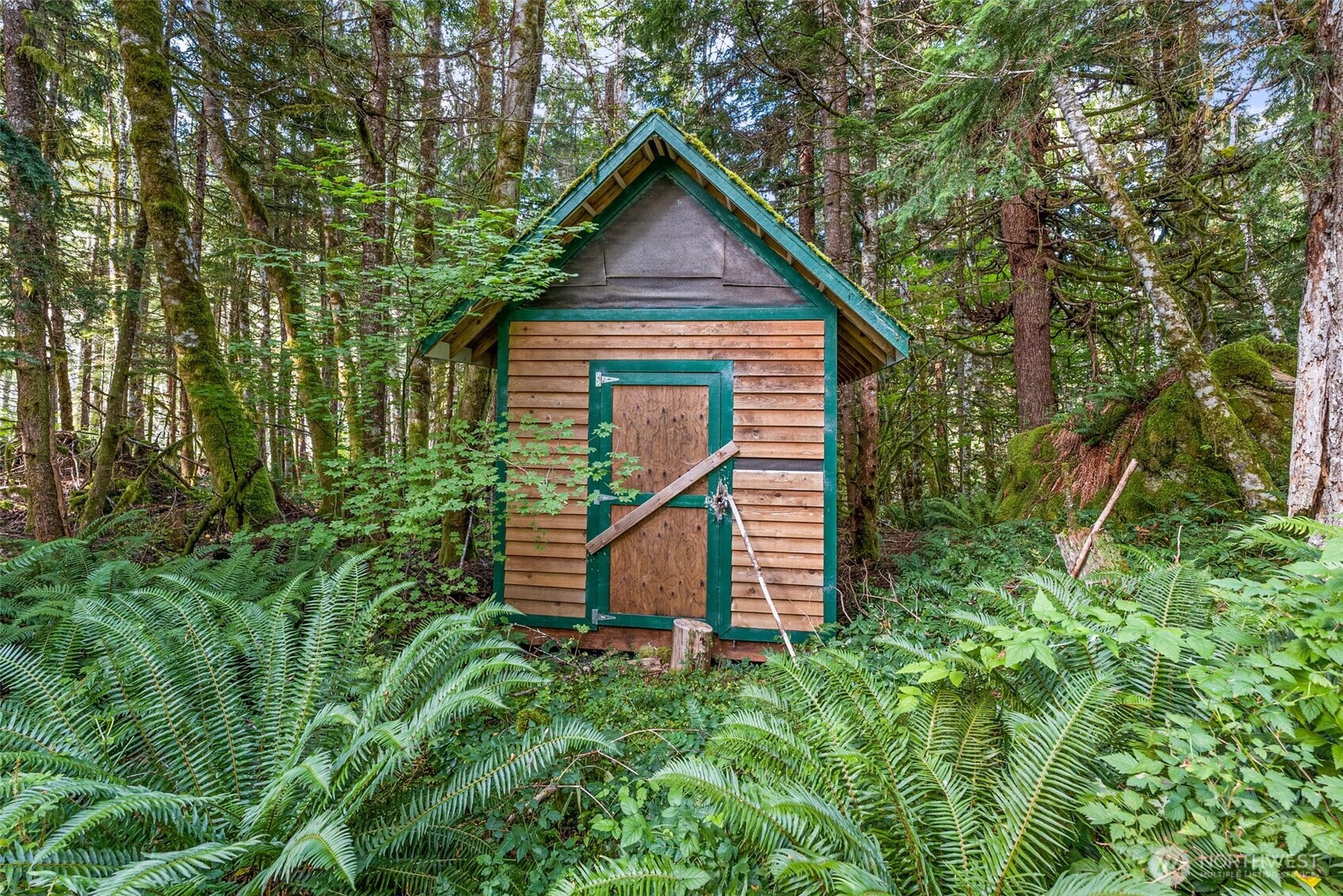 1 Skate Creek Road N, Morton, WA 98356