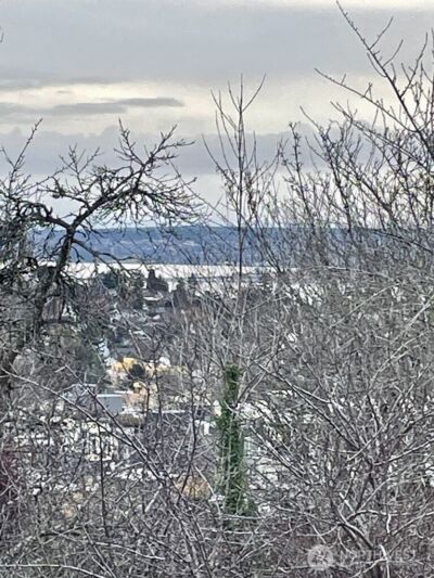 4916 30th Avenue S, Seattle, WA 98108 - Photo 3