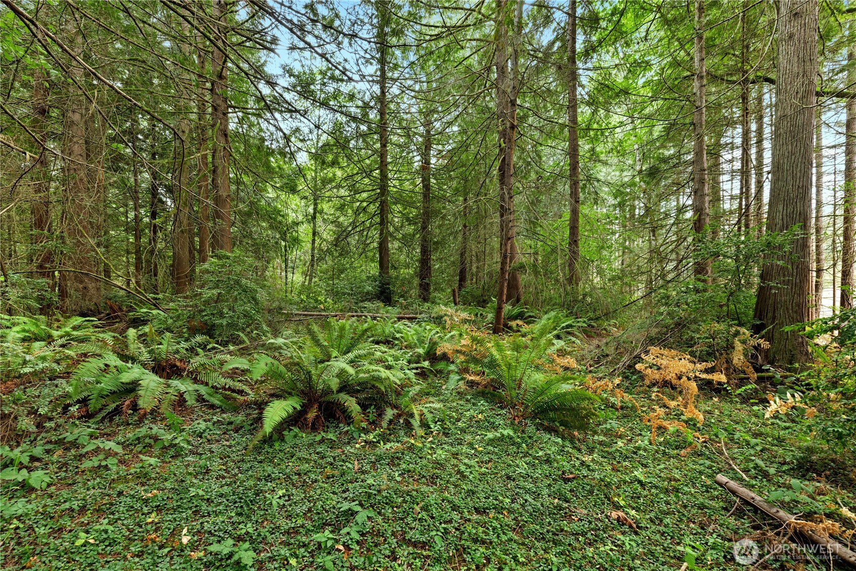 19301 Viking Avenue NW, Poulsbo, WA 98370