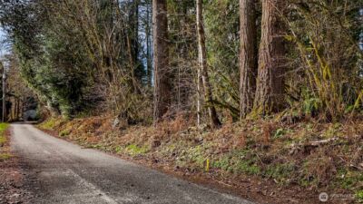 0 Yeager Road , Concrete, WA 98237 - Photo 11