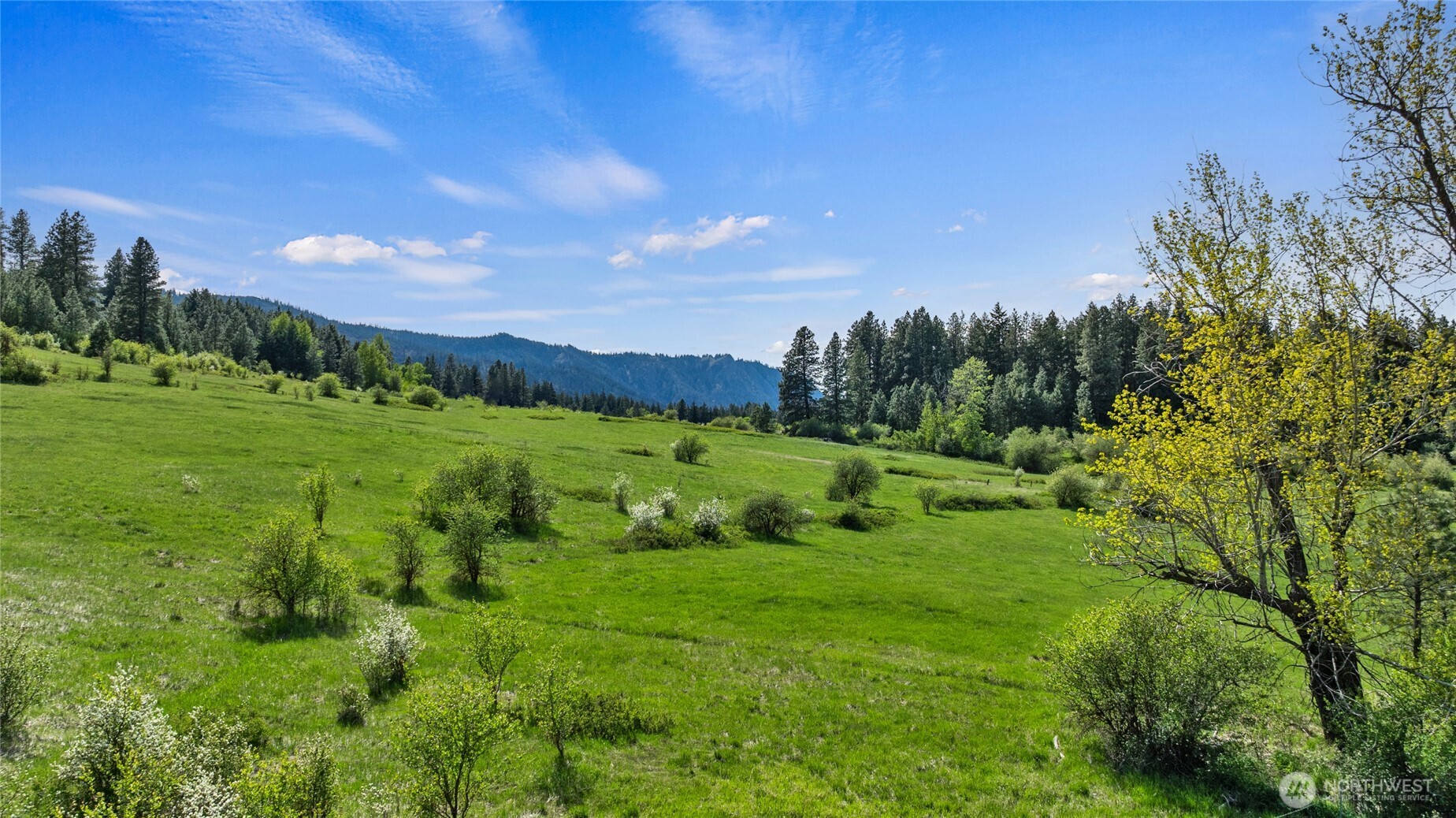 66 x4 Upper Peoh Point Road , Cle Elum, WA 98922