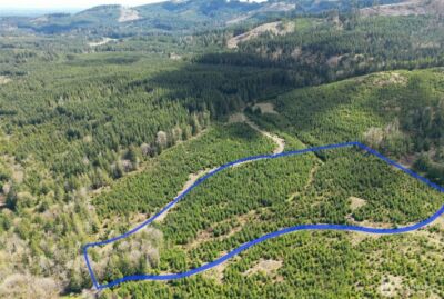 9201 Tract E Old Olympic Highway NW, Olympia, WA 98502 - Photo 2