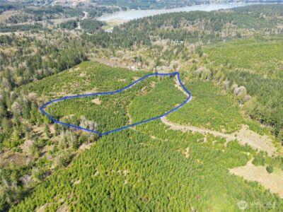 9201 Tract E Old Olympic Highway NW, Olympia, WA 98502 - Photo 3