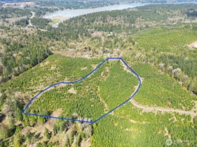 9201 Tract E Old Olympic Highway NW, Olympia, WA 98502 - Photo 4