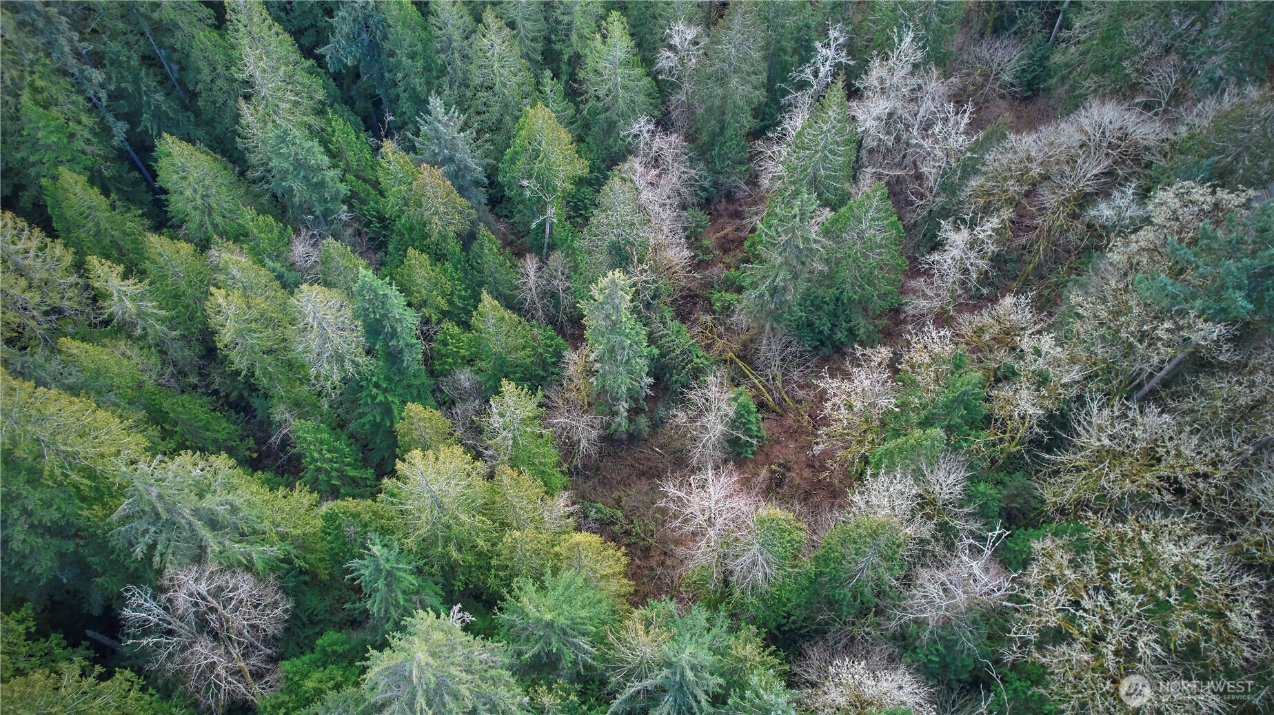 63 XX NW Anderson Hill Road , Silverdale, WA 98383