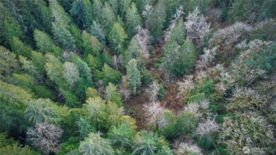 63 XX NW Anderson Hill Road , Silverdale, WA 98383 - Photo 11