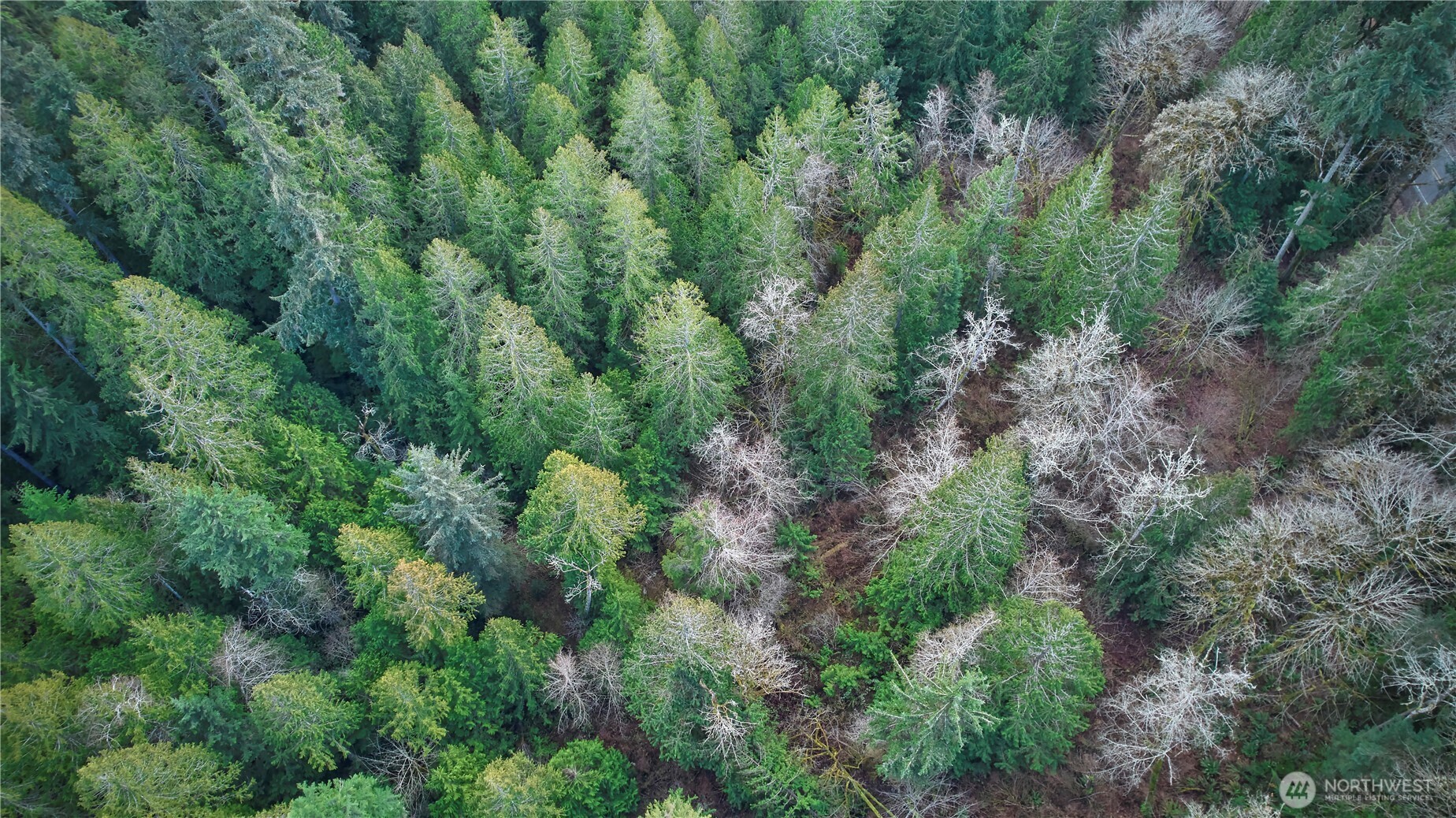 63 XX NW Anderson Hill Road , Silverdale, WA 98383