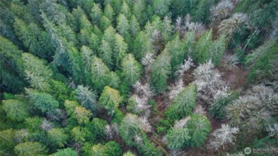 63 XX NW Anderson Hill Road , Silverdale, WA 98383 - Photo 12