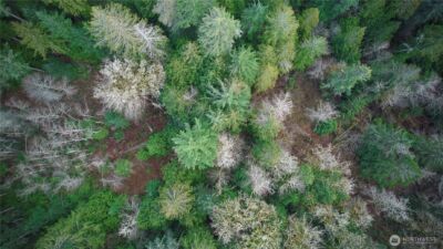 63 XX NW Anderson Hill Road , Silverdale, WA 98383 - Photo 14