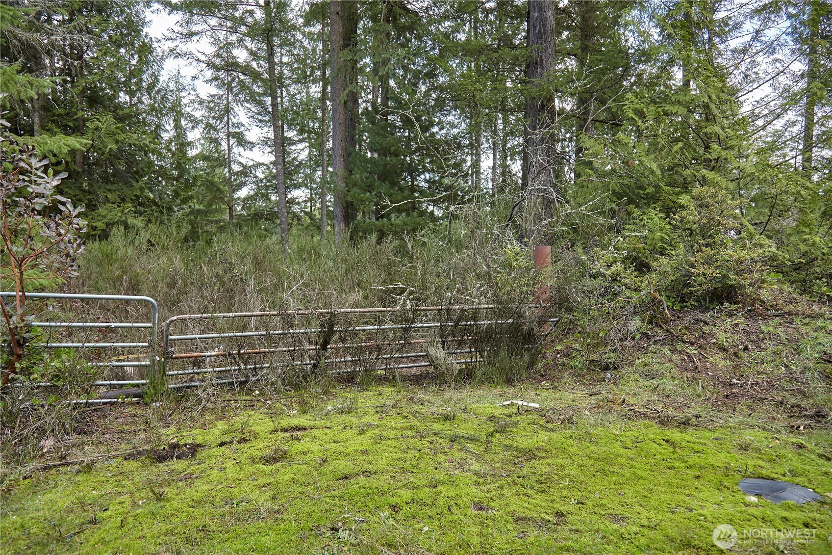 63 XX NW Anderson Hill Road , Silverdale, WA 98383