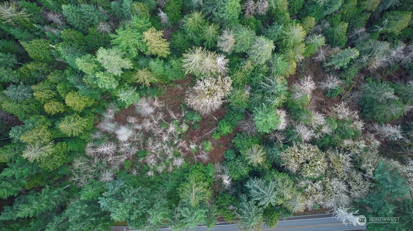 63 XX NW Anderson Hill Road , Silverdale, WA 98383