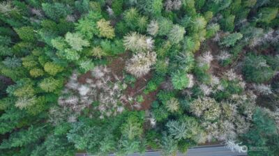 63 XX NW Anderson Hill Road , Silverdale, WA 98383 - Photo 20