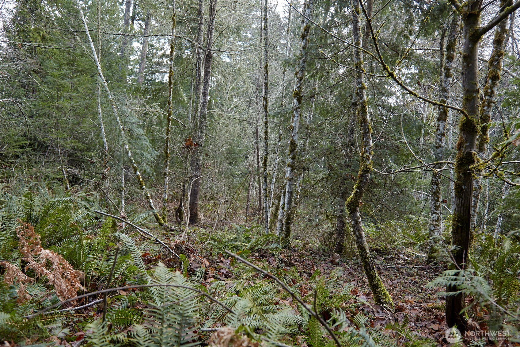 63 XX NW Anderson Hill Road , Silverdale, WA 98383