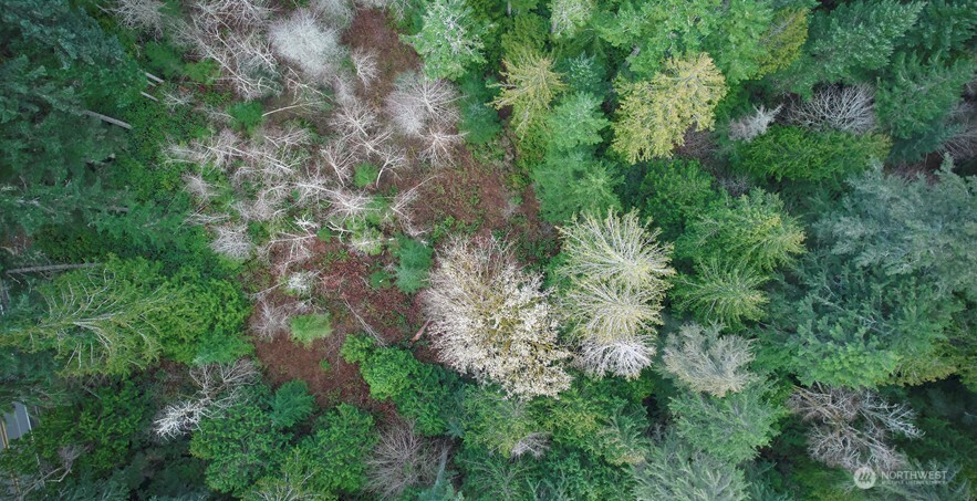 63 XX NW Anderson Hill Road , Silverdale, WA 98383