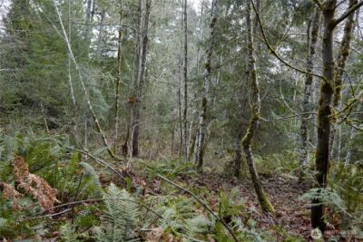 63 XX NW Anderson Hill Road , Silverdale, WA 98383 - Photo 3