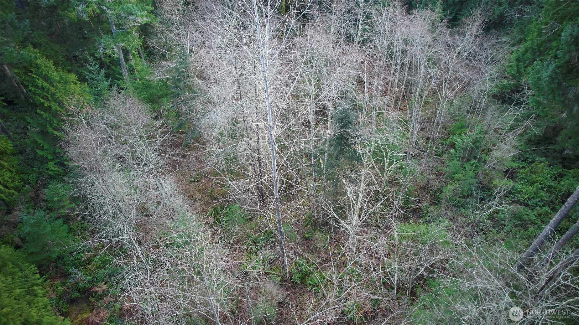 63 XX NW Anderson Hill Road , Silverdale, WA 98383